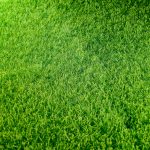 close up photo of fake grass