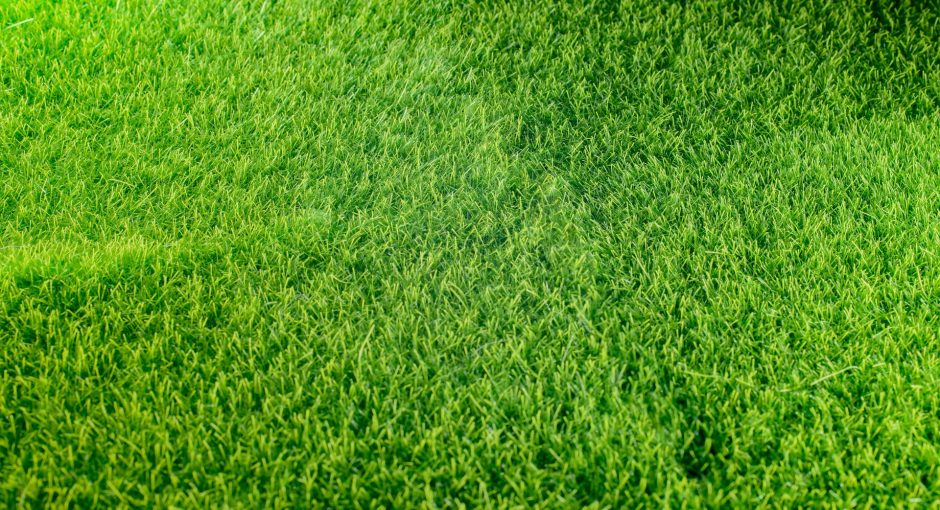 close up photo of fake grass